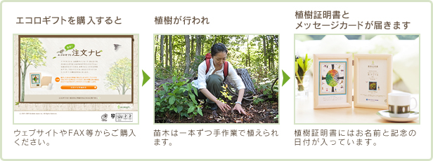 エコロギフトを購入すると植樹が行われ、植樹証明書とメッセージカードが届きます。